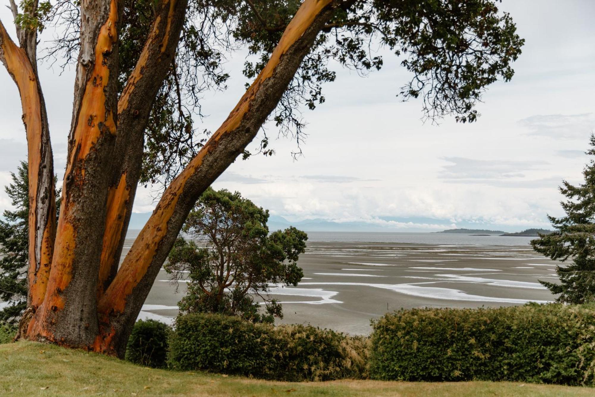 Beach Acres Resort パークスビル 部屋 写真